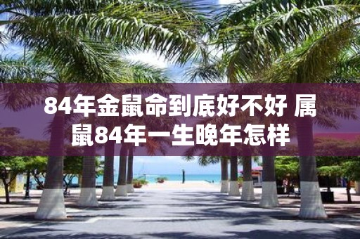 84年金鼠命到底好不好 属鼠84年一生晚年怎样