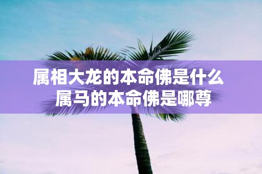 属相大龙的本命佛是什么 属马的本命佛是哪尊