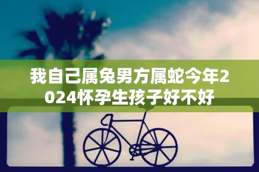 我自己属兔男方属蛇今年2025怀孕生孩子好不好
