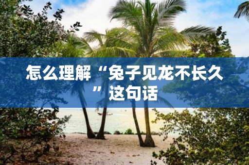 怎么理解“兔子见龙不长久”这句话