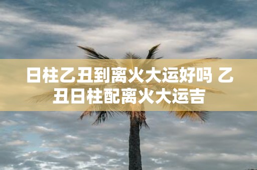 日柱乙丑到离火大运好吗 乙丑日柱配离火大运吉