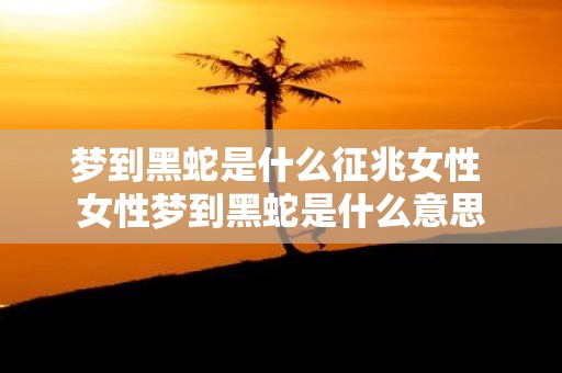 梦到黑蛇是什么征兆女性 女性梦到黑蛇是什么意思