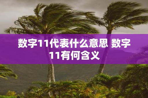 数字11代表什么意思 数字11有何含义