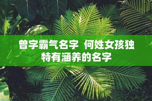 曾字霸气名字 何姓女孩独特有涵养的名字