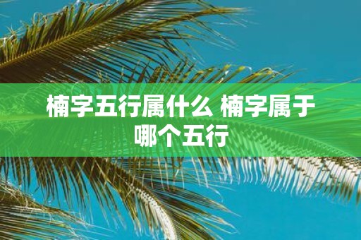 楠字五行属什么 楠字属于哪个五行