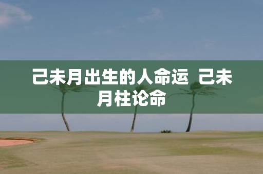 己未月出生的人命运 己未月柱论命