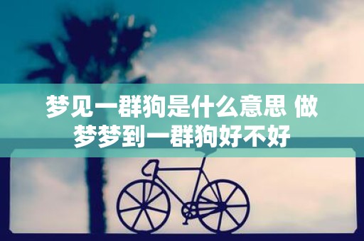 梦见一群狗是什么意思 做梦梦到一群狗好不好