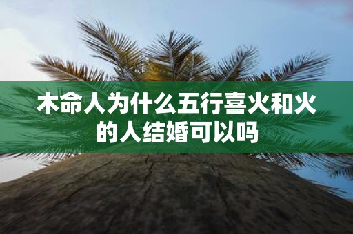 木命人为什么五行喜火和火的人结婚可以吗