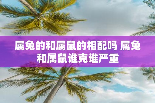 属兔的和属鼠的相配吗 属兔和属鼠谁克谁严重