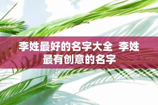 李姓最好的名字大全 李姓最有创意的名字