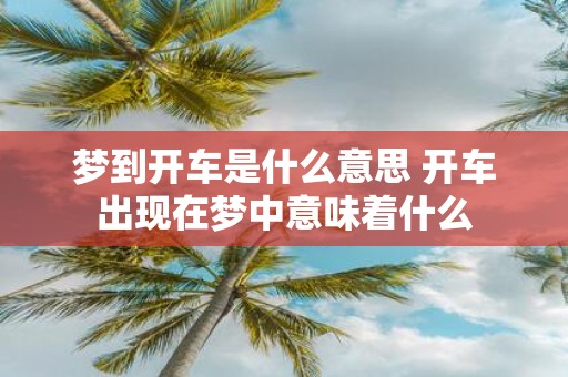 梦到开车是什么意思 开车出现在梦中意味着什么