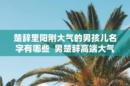楚辞里阳刚大气的男孩儿名字有哪些 男楚辞高端大气名字
