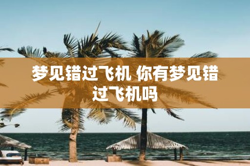 梦见错过飞机 你有梦见错过飞机吗