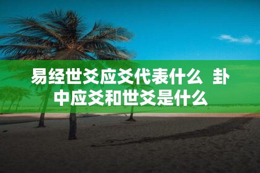 易经世爻应爻代表什么 卦中应爻和世爻是什么