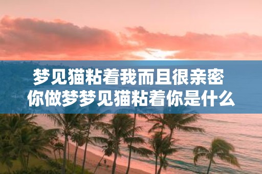梦见猫粘着我而且很亲密 你做梦梦见猫粘着你是什么意思