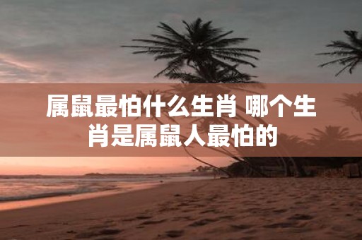 属鼠最怕什么生肖 哪个生肖是属鼠人最怕的