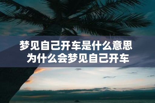 梦见自己开车是什么意思 为什么会梦见自己开车
