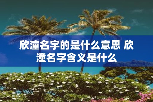 欣潼名字的是什么意思 欣潼名字含义是什么