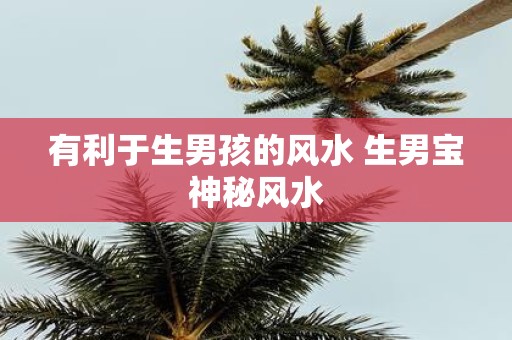 有利于生男孩的风水 生男宝神秘风水