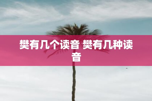 樊有几个读音 樊有几种读音