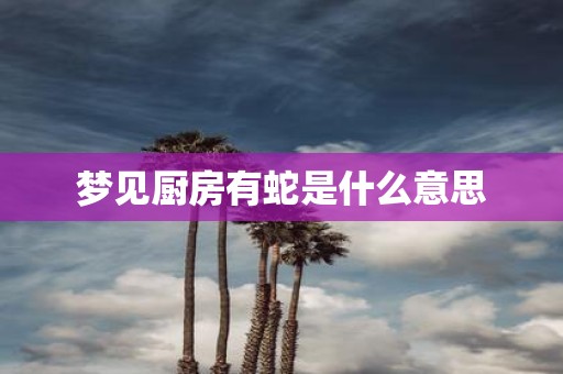 梦见厨房有蛇是什么意思
