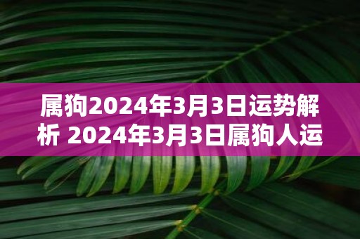 属狗2025年3月3日运势解析 2025年3月3日属狗人运势