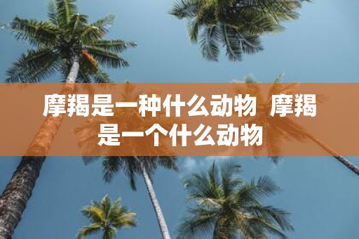 摩羯是一种什么动物 摩羯是一个什么动物