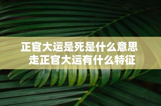 正官大运是死是什么意思 走正官大运有什么特征