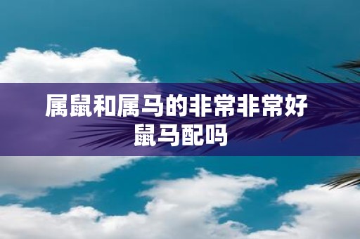 属鼠和属马的非常非常好 鼠马配吗