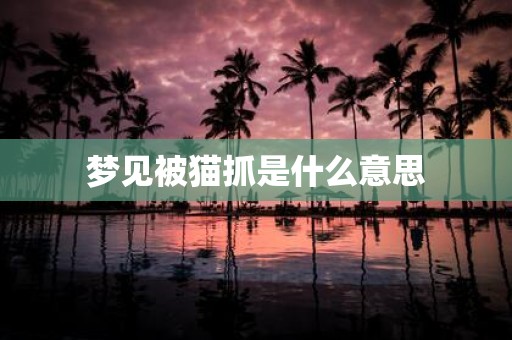 梦见被猫抓是什么意思