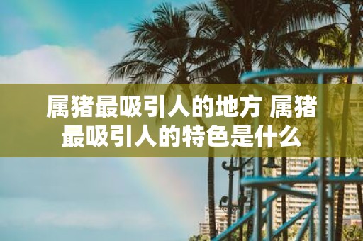 属猪最吸引人的地方 属猪最吸引人的特色是什么