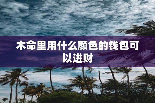 木命里用什么颜色的钱包可以进财