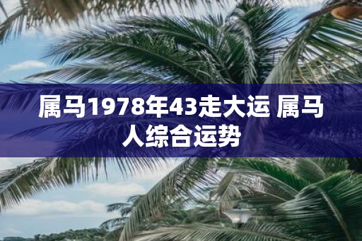 属马1978年43走大运 属马人综合运势