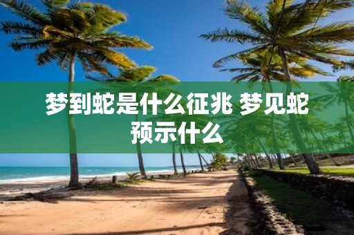 梦到蛇是什么征兆 梦见蛇预示什么