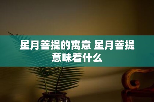 星月菩提的寓意 星月菩提意味着什么