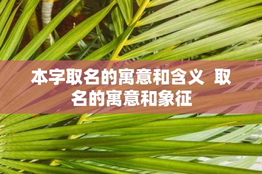本字取名的寓意和含义 取名的寓意和象征
