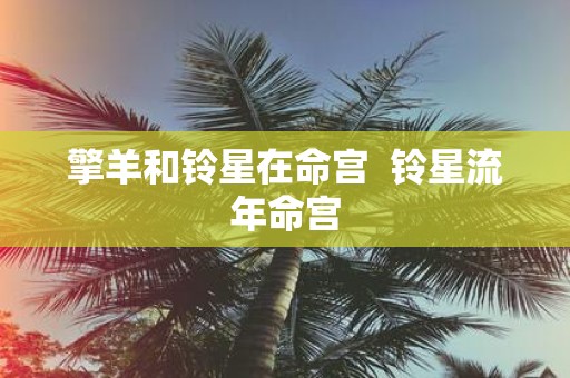 擎羊和铃星在命宫 铃星流年命宫