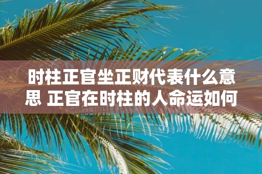 时柱正官坐正财代表什么意思 正官在时柱的人命运如何