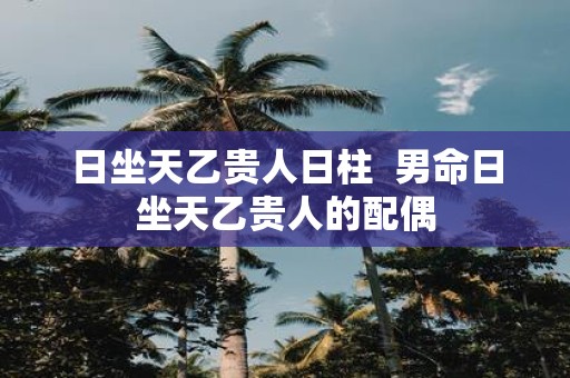 日坐天乙贵人日柱 男命日坐天乙贵人的配偶