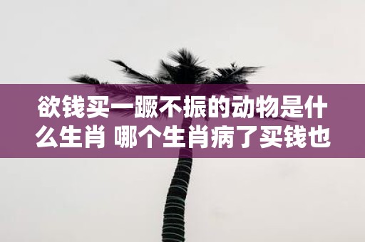 欲钱买一蹶不振的动物是什么生肖 哪个生肖病了买钱也无效