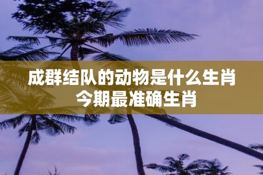 成群结队的动物是什么生肖 今期最准确生肖