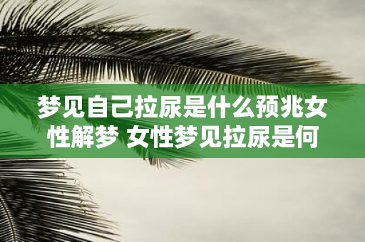 梦见自己拉尿是什么预兆女性解梦 女性梦见拉尿是何兆头