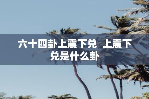 六十四卦上震下兑 上震下兑是什么卦