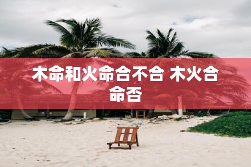 木命和火命合不合 木火合命否