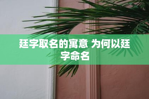 廷字取名的寓意 为何以廷字命名