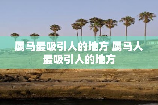 属马最吸引人的地方 属马人最吸引人的地方