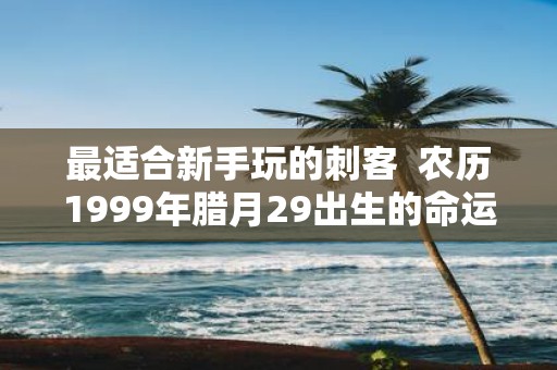 最适合新手玩的刺客 农历1999年腊月29出生的命运