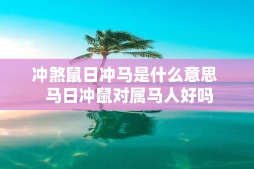 冲煞鼠日冲马是什么意思 马日冲鼠对属马人好吗