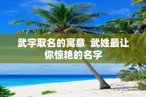 武字取名的寓意 武姓最让你惊艳的名字