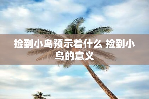 捡到小鸟预示着什么 捡到小鸟的意义